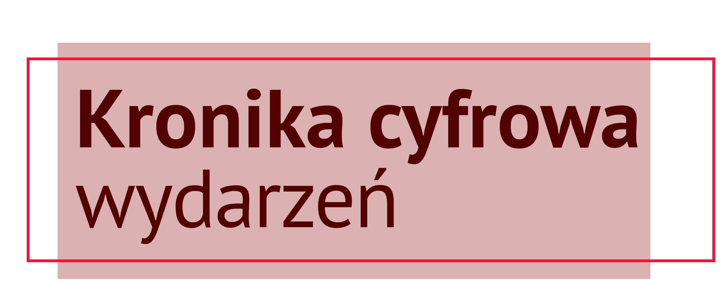 Kronika cyfrowa wydarzeń z życia Rodziny Bonifraterskiej - 2025 rok